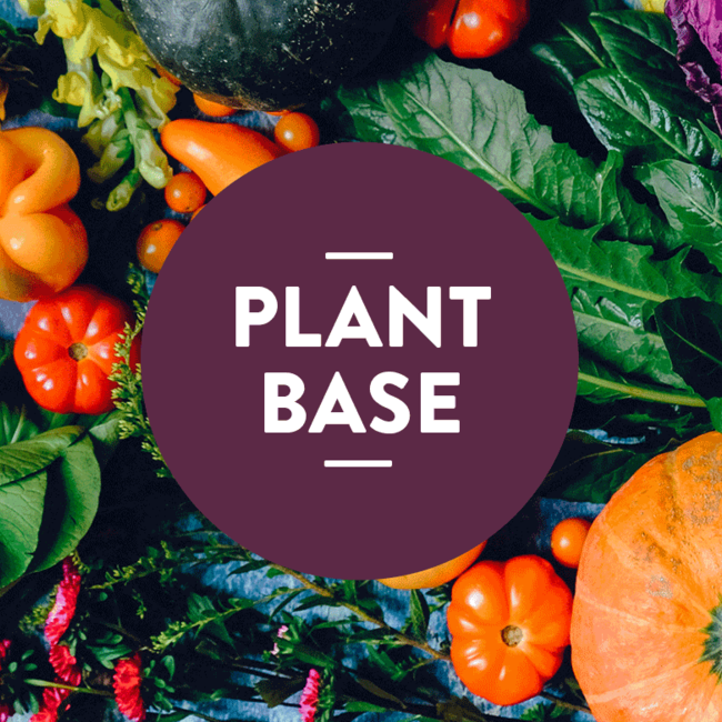 Plant Base