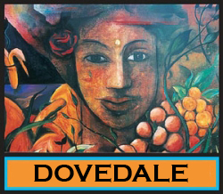 Dovedale Int Limited