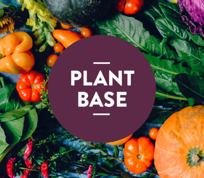 Plant Base